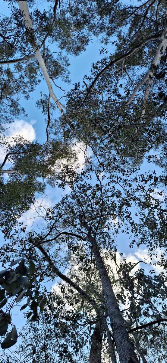 Stunning weather! Stunning weather!