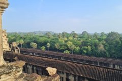 The view from the temple's highest point