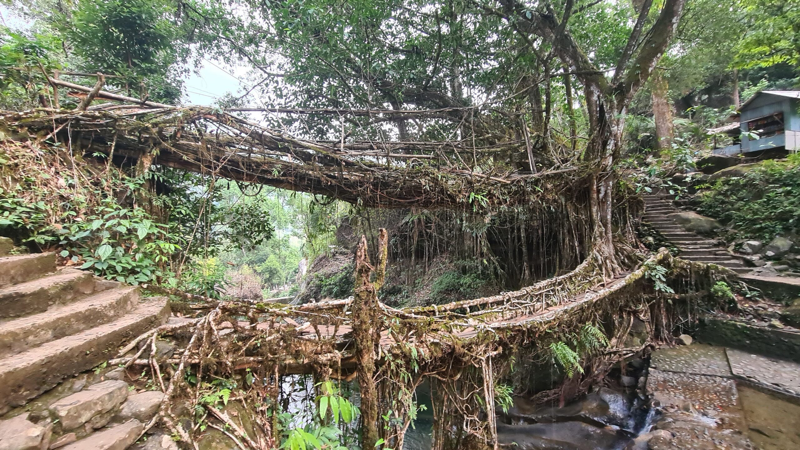 Cherrapunji, Nongriat 29th March to the 1st April